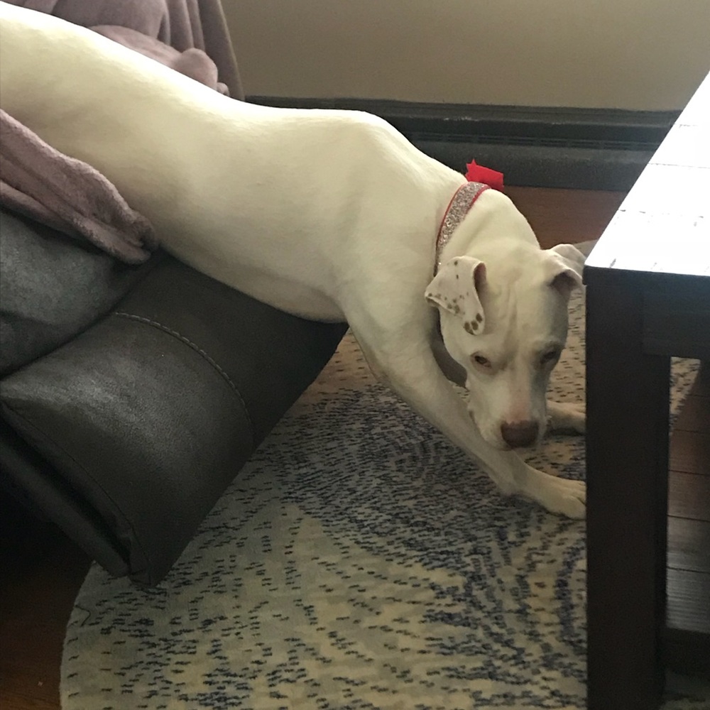 Meet your Posher, Nicole